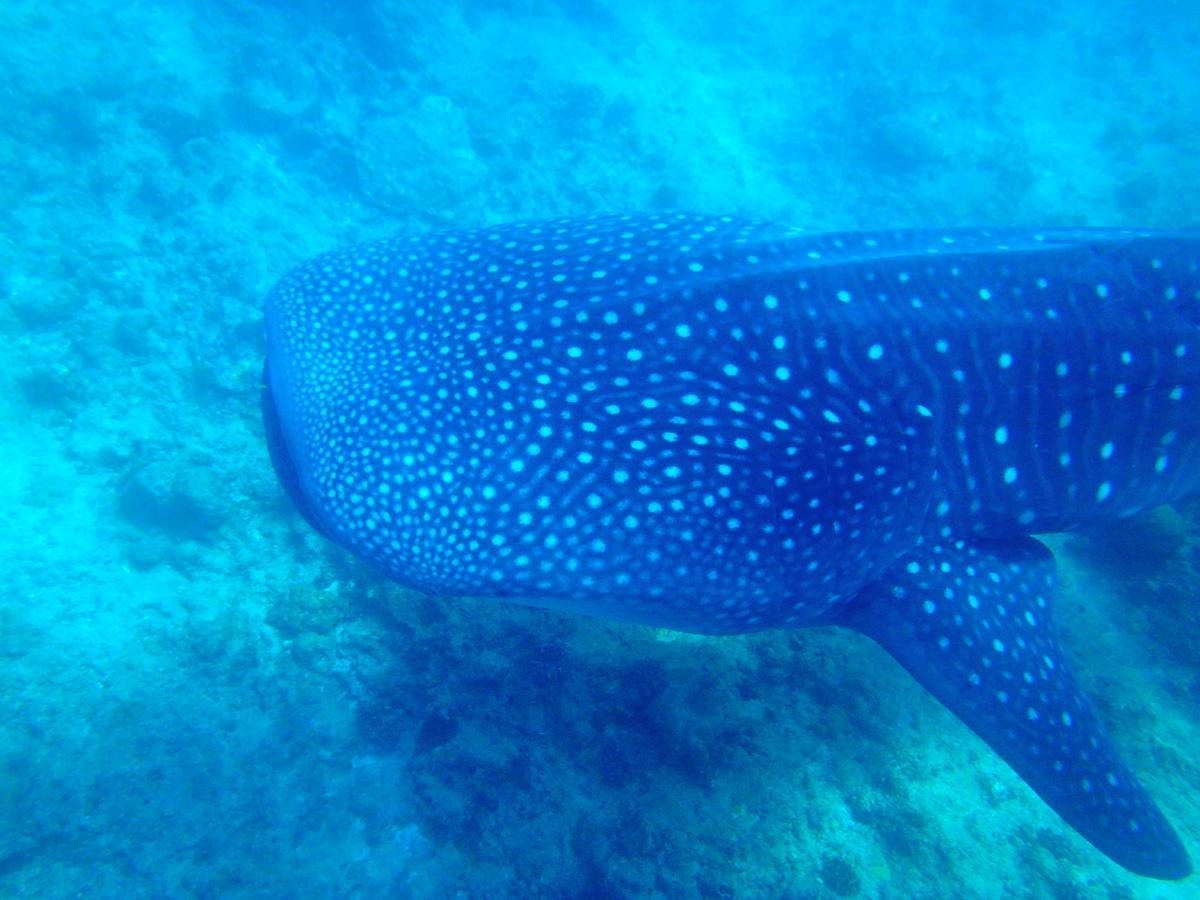 West Sands Affittacamere Ukulhas