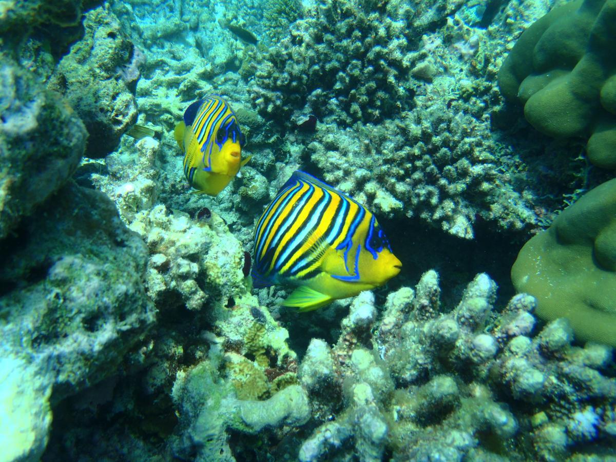 Affittacamere West Sands Ukulhas